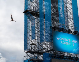 FINA World championships Budapest 2017 ([high] diving)